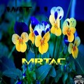 Mr.Tac - Wit U