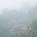 畠山地平 - Spherulite