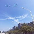 钢弦 - 小丑