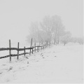 4lienetic - Winter
