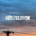 Herzeloyde - airport