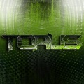 Torus - Scream