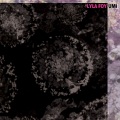 Lyla Foy - Beginning It All Again