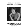 Natural Disaster (remix：Win and Woo)