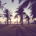 Ruck P - Summer Breeze