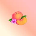Beyoncé、Cavalier - Kitty Kat (Cavalier Remix)