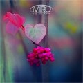 Miro - For All Our Forgotten Friends