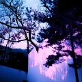 Kilo Kish、Anton Borin - Curious (Anton Borin Edition)