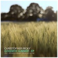 Goodbye Summer (Original Mix)