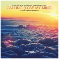 Calling (Christopher Ricky Remix)