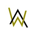 Alan Walker - Hope
