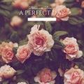 A Perfect Day - Flowers