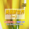 卓依婷 - 祝你平安