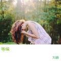 刘鹏 - 等候