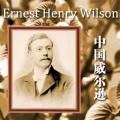 中艺博纳音乐工作室 - 西方主题哼唱W