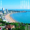 陈龙 - 大连海边的姑娘