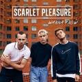 Scarlet Pleasure - Wanna Know