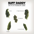 Suff Daddy - Kicks