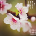 陈龙 - 美人