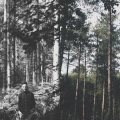 AJMW - Natural