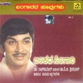 Binkadi Singaari