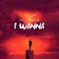 Dabox、Maikhow Thomaz - I Wanna (feat. Maikhow Thomaz Radio Edit)