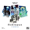 你是哪一种 (DJ Roktepux版)