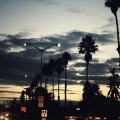 Tülpa、mph、sarah burns - la nights