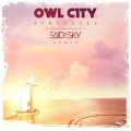 Said The Sky、Owl City - Fireflies (Said The Sky Remix)