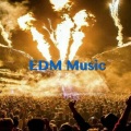 EDM Music音乐厂牌 (DJ版)