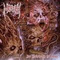 Master - Murderous Insights
