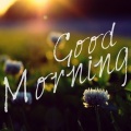 Montis - Good Morning