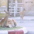 RHYTHMIX - Vacation (Prod.Shun)