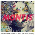 Montis、Haddaway - What Is Love