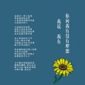 曹槽 - 无忧房客