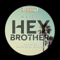 TEEMID、Avicii、Tessa Rose Jackson - Hey Brother