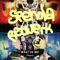 Spenda C、What So Not - Jaguar