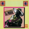 Taj Mahal - Fishing Blues (Album Version)