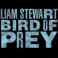 Liam Stewart - Bird Of Prey (Album Version)