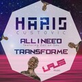 Haris Custovic - All I Need (Main mix Remix)