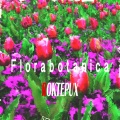 Florabotanica