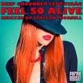 Deep Grounder、Virag - Feel so Alive