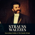 Hans-Jurgen Walther、The Danube Strings - Tales from the Vienna Woods, Op. 325