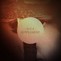 Supplement