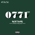 TACE - 电动车