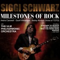 Siggi Schwarz - While My Guitar Gently Weeps