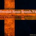 Patrick Seeker - Swedish House Sounds.V2 Synth2 128