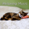 Relaxing Music
