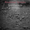 Владимир Трошин - Тихий дождь