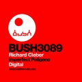 Richard Cleber - Imperfect